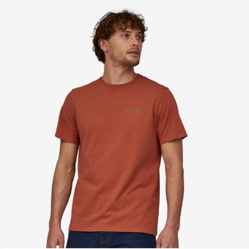 Patagonia men’s shirt sleeve t-shirt
